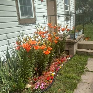 Meet your Posher, Carrie